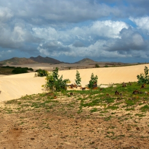rough grass, sand with mountains in the background